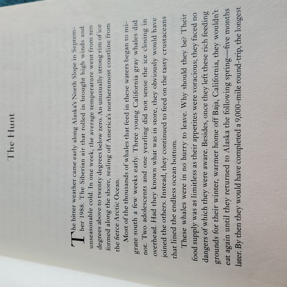 Big Miracle - Picture 4 of 4